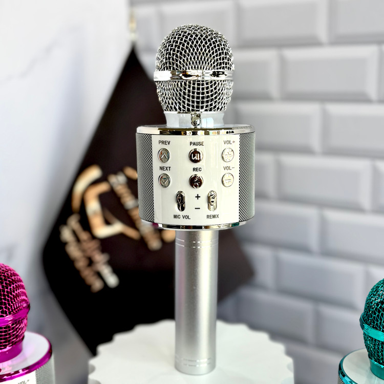 میکروفون اسپیکردار کودک