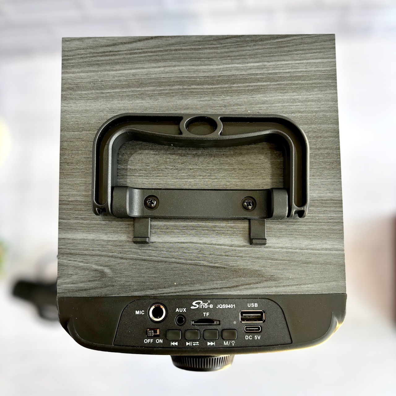 محتویات جعبه اسپیکر Sing-e شامل میکروفون و کابل تایپ C  ا