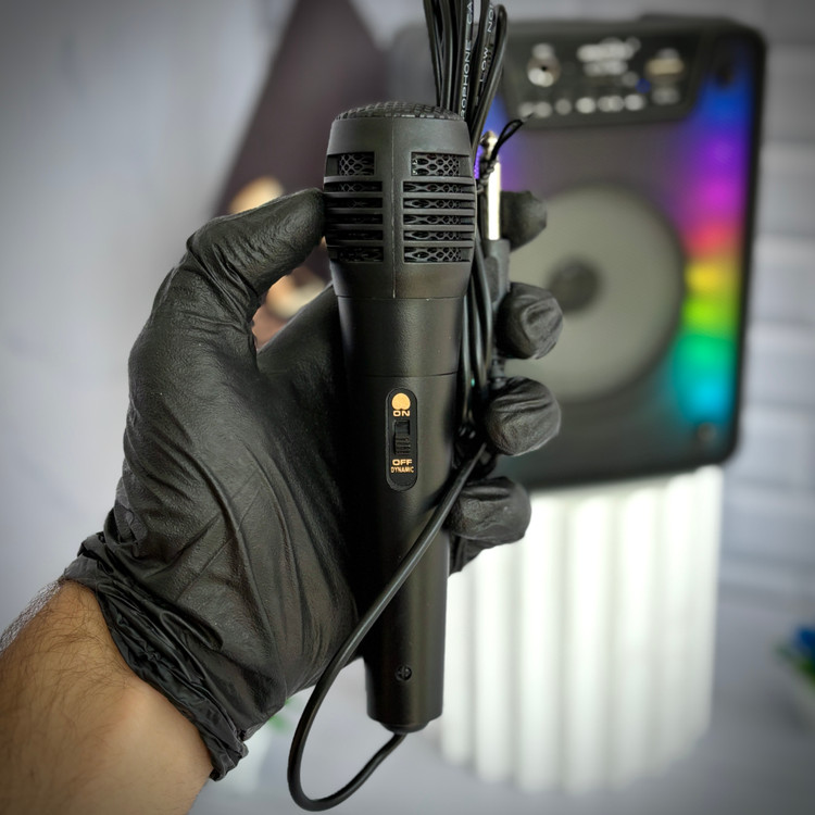 اسپیکر کارائوکه خانگی با ورودی میکروفون