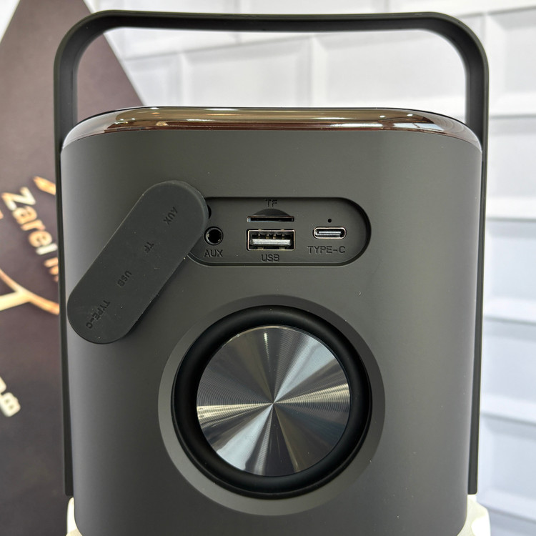 اسپیکر قدرتمند 1200 میلیآمپر Sing-e ZQS P10