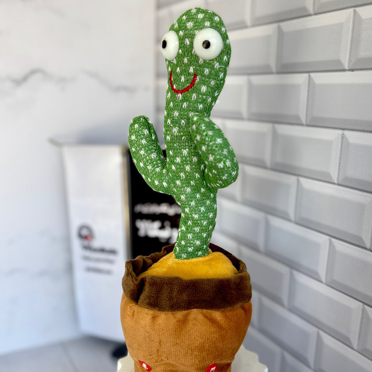 قیمت و مشخصات اسباب بازی کاکتوس