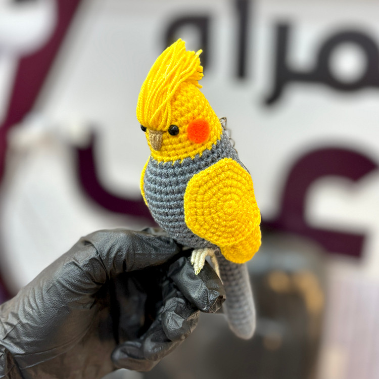 عروسک عروس هلندی