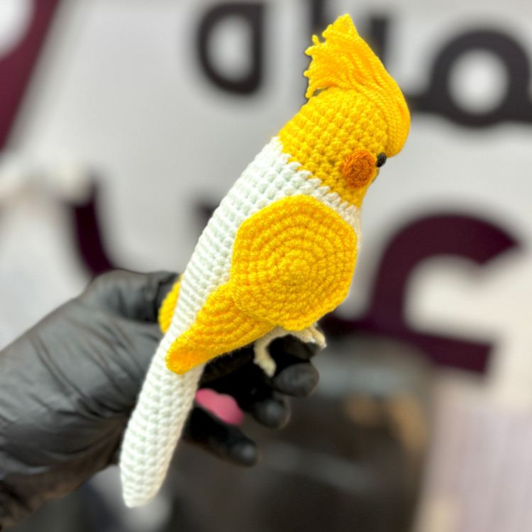 جاسوییچی رنگارنگ عروس هلندی