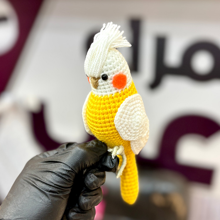 جاسوییچی طرح عروس هلندی بافت