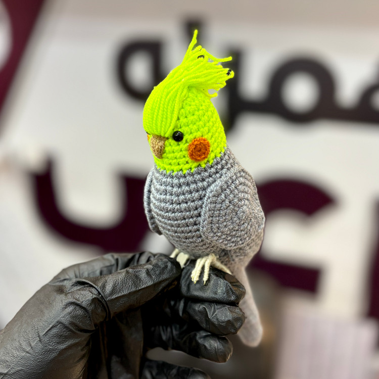 جا کلیدی عروس هلندی زیبا